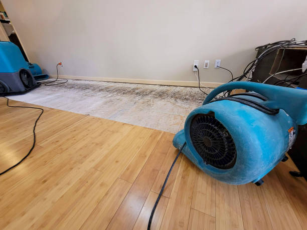 Professional Water Damage Repair technician working in Athens, TX